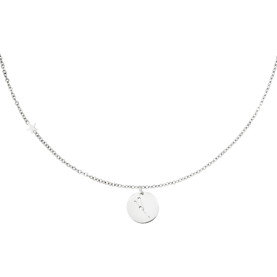 Collar signo del zodíaco Aries Plata Acero inoxidable Imagen4